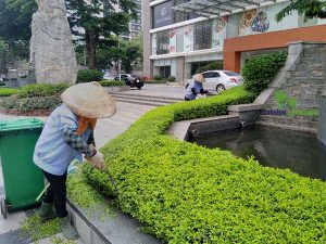 Dịch vụ cung cấp nhân viên chăm sóc cây xanh tại Bàu Bàng