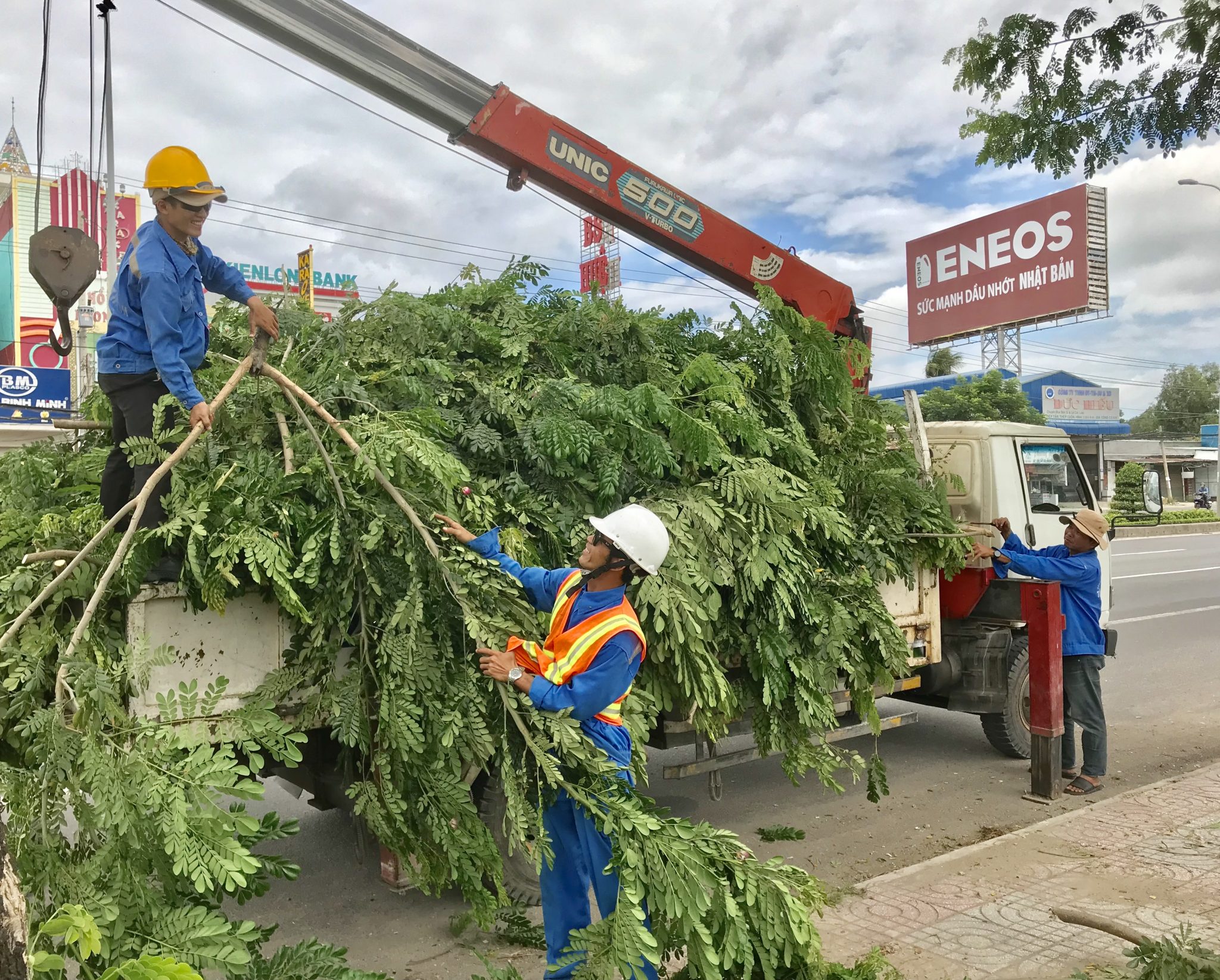 Dịch vụ cắt tỉa cây xanh ở Bắc Tân uyên Bình Dương