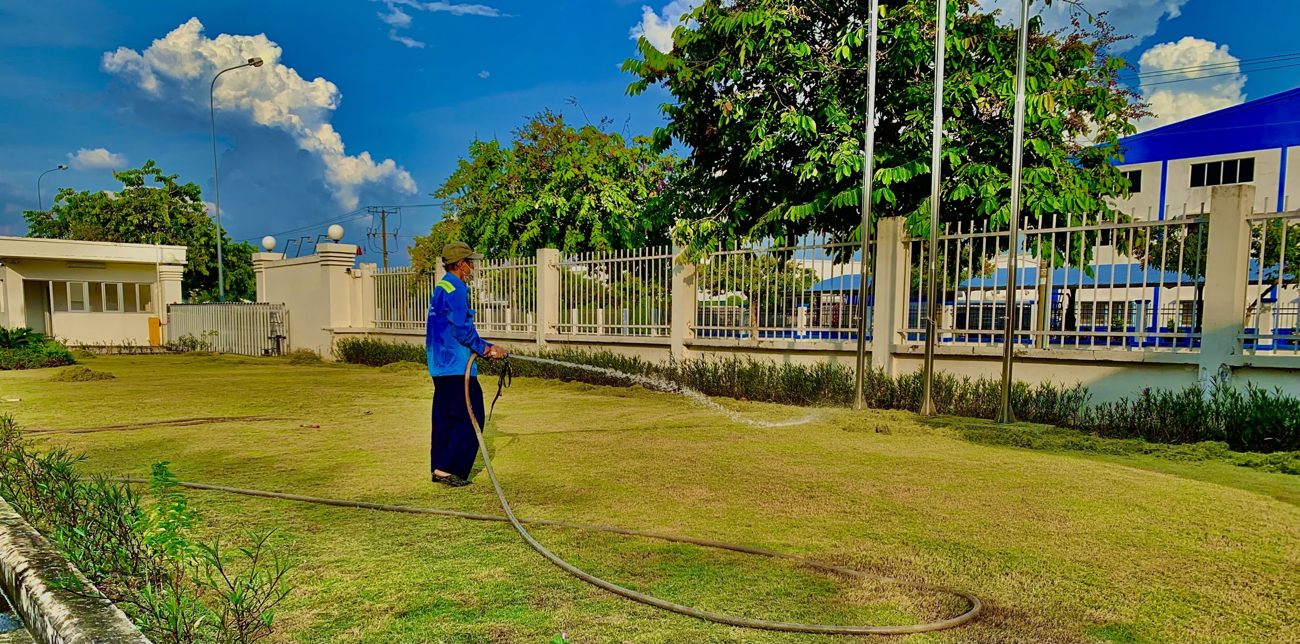 Dịch vụ chăm sóc cây xanh tại Bàu Bàng