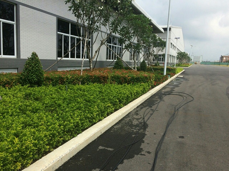 Dịch vụ trồng cây xanh cây cảnh ở Bến Cát
