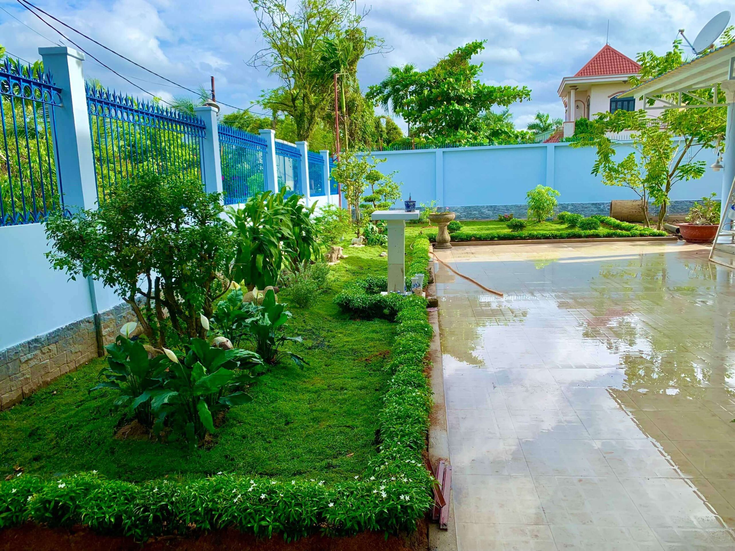 Dịch vụ trồng cỏ sân vườn ở Đồng Nai